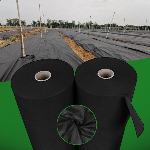 Agrowłóknina czarna 100g/m2